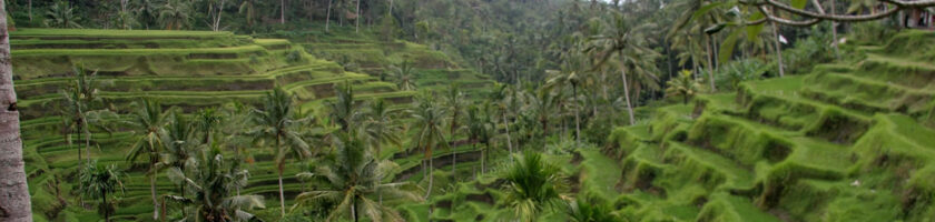 Μπαλί, Ινδονησία